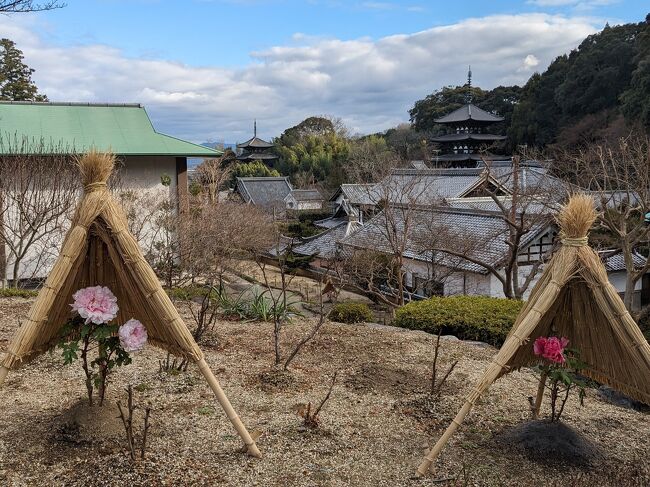 2024/1/8月祝<br />お野菜ダイニング&amp;カフェSOLVIVAソルビバ梅田店でランチ<br />↓<br />當麻寺<br />