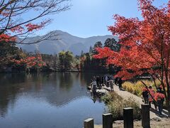 九年庵・耶馬渓・雲仙8か所の紅葉巡り