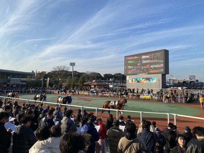 2023年最後のお出掛けは、旧東海道品川宿。<br />それから大井競馬場で競馬納めをしてきました。