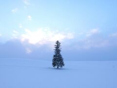 白ひげの滝