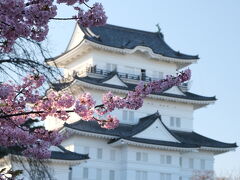 河津桜と伊豆グルメ(その4・完)