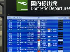 JAL　初日の出フライト