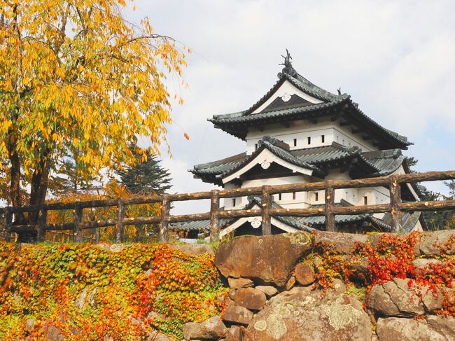 東北旅も残すところあと2日となりました。<br />この日は、青森から弘前に移動。<br />弘前は　私にとって初めての場所なので、とても楽しみにしてました。<br />本当は、鶴の舞橋や太宰治ゆかりの五所川原なども行きたかったのですが、電車の便が悪く　１泊では到底無理。<br />なので、弘前でゆっくり街歩きをすることにしました。<br /><br />弘前城<br />藤田記念庭園<br />禅林街　　さざえ堂　長勝寺<br />洋館のスターバックス<br />りんご公園<br />洋館めぐり<br /><br />前日ハイキングできなかったので、今日は歩け！歩け！<br />弘前の街を歩き倒します。