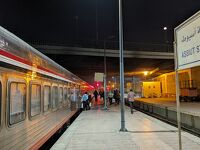 エジプト鉄道縦断の旅② ルクソール～アレクサンドリアまでナイルに沿うこと14時間！