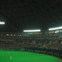 2003年NPB日本シリーズ第７戦、関東のタイガースファンが福岡のライトスタンドにて、、、