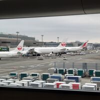 スリランカ航空(ＵＬ)で行く年越しモルディブwithコロンボ・バンコク part.1