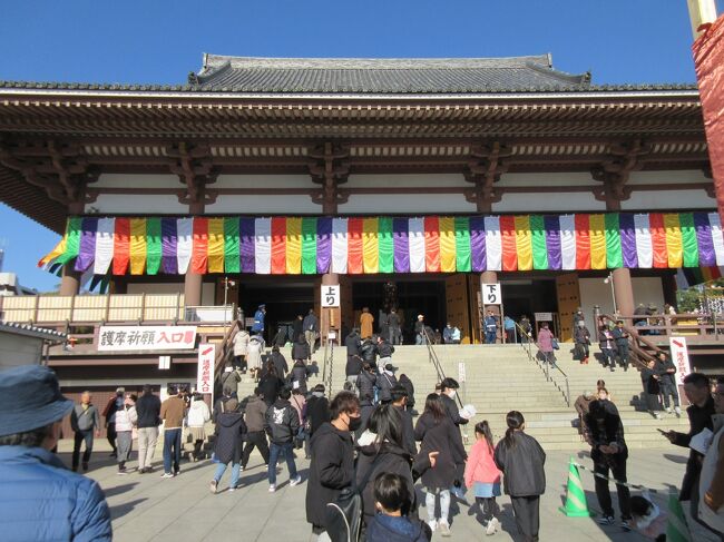 東京都足立区にある西新井（にしあらい）大師に初詣に行きました。<br />西新井大師は弘法大師の創建で、正式には真言宗豊山派、五智山遍照院總持寺、「関東の高野山」とも呼ばれる大きなお寺です。<br /><br />1年ちょっと前の2022年10月に、親友と数十年ぶりにふたりで西新井大師に行って楽しい時間を過ごせました。<br />　⇒『親友と数十年ぶりの西新井大師★2022年10月』https://4travel.jp/travelogue/11788128<br /><br />今回は2日前の親友からの電話で、初詣に行こうということに決まりました。<br /><br />昨年の春と秋に『四国お遍路ドライブ』を実行して、八十八か所札所を回ったことで、西新井大師を新鮮な気持ちでお参りすることができました。<br /><br />【参考】植物については、Google画像検索（Googleレンズ）とWikipediaなどを参照、引用しました。