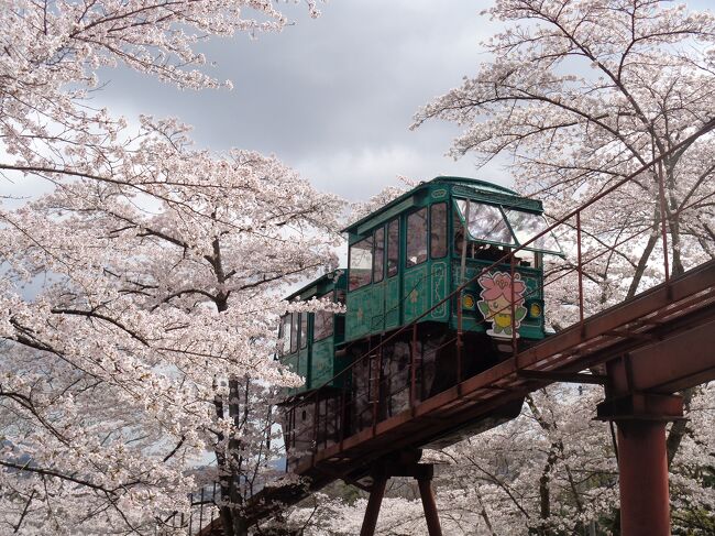柴田桜祭り