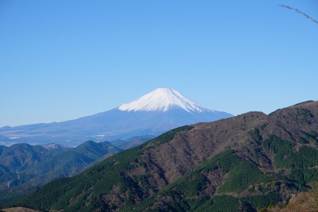 仕事も忙しく、車のメンテなどがあり約二か月ぶりの登山です。<br />すっかり秋も深まってきて神奈川の大山に紅葉狩りをしてきました。<br />しかし猛暑の影響でで紅葉もこれからって感じで少し早かった印象です。<br />登山の方は男坂も登ってる途中で腹痛で何とか阿夫利神社まで登ってきました。<br />トイレと休憩で持ち直して山頂をゆっくり目に登って何とか登頂出来ました。<br />天気が良く暖かく風もないので最高の登山日和で、山頂からは房総や都心までクッキリ見えて、久々の眺望満点の登山となりました。