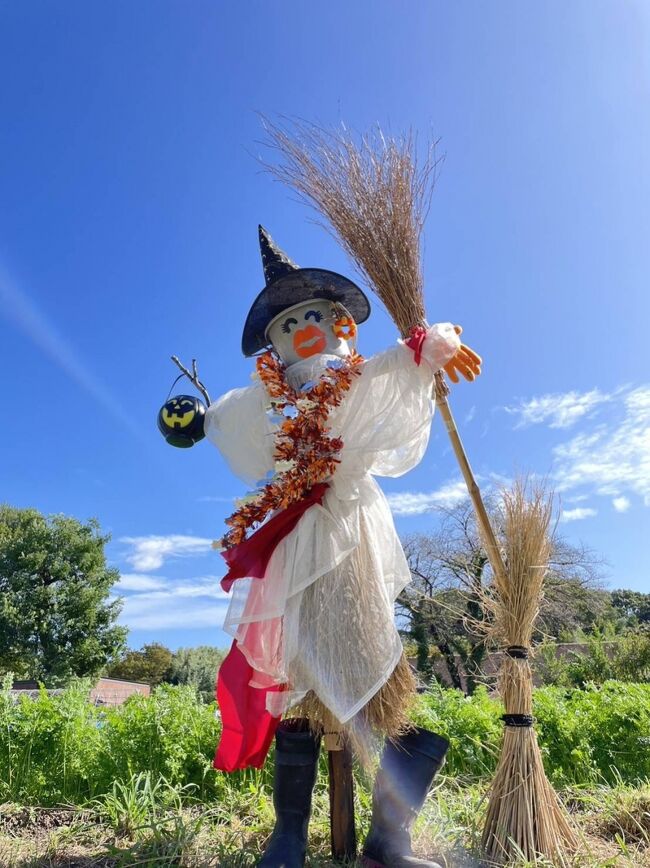 ハロウィンの農業センターは、案山子が待っていてくれました♪