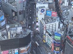 渋谷散策