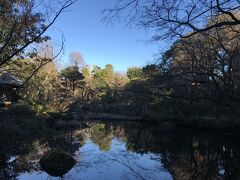 【着物】久しぶりのおひとりさま贅沢