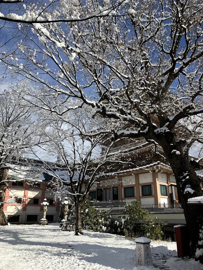 急遽、ふらりと善光寺へ行くことになりました^ ^<br /><br />雪景色や食べ歩き…思いの外楽しかったです！