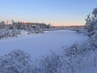 アラスカ家族旅行2:準備(持ち物)