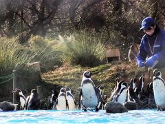 埼玉こども動物自然公園