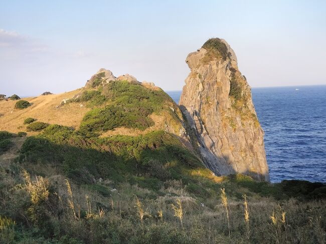 ここ数年、わずか7000マイルでＪＡＬの空旅の出来るどこかにマイルを使った旅にすっかりはまっています。<br />でも今年の4月頃から羽田発着の週末のどこかにマイルが利用できなくなり、なかなか思い通りに申し込みができない状態が続いていました。<br />そんな訳で今年は1月と7月に小松、4月に釧路、9月に秋田とまだ4度だけ。<br />11月の19，20の土日で2ヶ月ぶりに福岡・宇部山口・札幌・徳島の組み合わせで申し込みして、狙い通り行先が福岡に決まりました。<br />福岡は私にとって仕事で縁の深い場所。<br />過去に何度も出張を含め訪れているため、市内はスルーして空港から博多港に向かいフェリーで壱岐島にわたりました。<br />壱岐は古くから神の島と言われるほど神社や遺跡が多く、今回は減量もかねて島を電動アシスト付きのレンタサイクルで滞在中走り回りました。