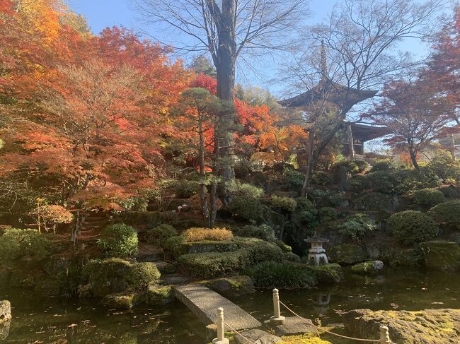 紅葉を見に長野の諏訪へ！　その１まだまだ紅葉を見ることができました。温泉寺～法國山阿弥陀寺