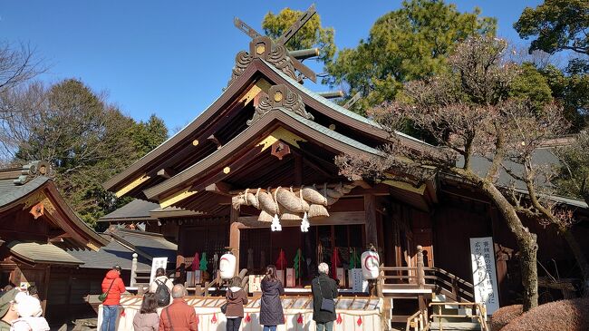 年末年始の時期になると小田急に出雲大社相模分祠の吊り革広告が出る。<br />ダイコク市があるというので行ってみた。<br />秦野は渡来系の職人集団が移り住んだというし、出雲族も移り住んだのかななんて妄想<br />秦野、平塚周辺は渡来系の由来があるからね<br />平塚の話は下記でもあります。<br />https://4travel.jp/travelogue/11673143