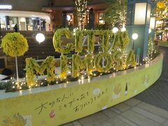 川崎市・MIMOSA FESTA 2023