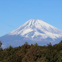 2024初入湯は伊豆長岡温泉③　三島スカイウォーク・三嶋大社、そしてうな重！