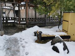 18きっぷで北陸2泊3日　1日目　福井県の芦原温泉と足湯