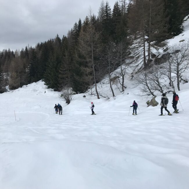 アオスタ3日目は大晦日。San Silvestroの日。<br />今日はクールマイユールの山岳ガイド協会（Società Guide Alpine Courmayeur）が主催する、スノーシューイングの半日ツアーに参加します。<br />ホームページで見つけて問い合わせをし、メールで申し込みをしたもの。<br />参加費1人55ユーロ＋スノーシューのレンタル料25ユーロでした。<br />（銀行送金してくれと言われて結構大変な思いをしました。。。）