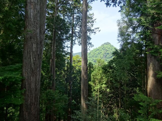 雁坂路を関東平野にむかってさらに下ります。<br />今回は武蔵御嶽神社、高坂神社。<br />ヤマトタケルは出ずっぱりです。<br />重忠さんも出演。<br /><br />一書に曰く、<br />武蔵御嶽神社<br />「みたけ」なのか「おんたけ」なのか。全国に御嶽という山、神社はおおいのですが、ここは、「みたけ」です。<br />字からして険しい山ですが、幸いにも途中までケーブルカーがありました。<br />ケーブルカーには、登山準備おさおさ怠りない老若男女が、結構な数。<br />私どもふたり、乗り場近くの駐車場に車をおいてきての、軽装。<br />そしたら、ケーブルカーの皆さんしっかり登山支度。<br />幸いなことに，我々の旅装は，歩きやすい靴。荷物は，両手が空くように背負っております。それが救いでした。<br />ケーブルカー降りたら、すぐに神社かと思っておりましたら、けっこう歩きます。<br />よく知らないで来たので、道標に導かれて，もう着くかな，もう着くかな？と歩いてしまいました。<br />まあ、後期高齢者夫婦が歩けたのですから、結果としてはたいしたことないのですが。<br />それでも、知っていたら行ったかなぁって思う距離でした。とくに最後の階段と坂はしんどかった。<br />帰り道で、ハイヒールの女性にすれ違いました。ドライブデートで来たんだな。<br />歩くのつらかったのではないかしら？<br />ハイヒールは、だめになったわね。<br />By妻<br /><br />参考資料は「ヤマトタケル空白の旅路　雁坂路1」に並べています。<br />引用では僭越ながら敬称を略させていただきます。<br /><br />投稿日：2024/01/17<br />