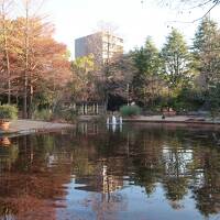 デパートついでに名古屋・一宮・岐阜&#x1f687;