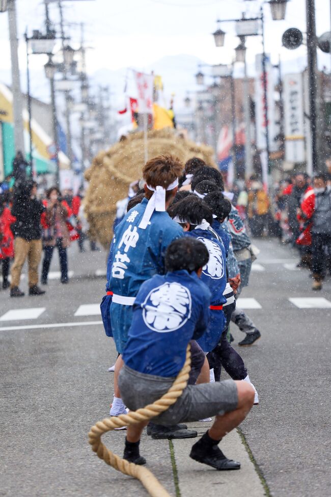 毎年、1月の第2土曜に、福島県会津美里町にて行われる会津の奇祭「高田大俵引き」。<br />一度は見てみたいなとお邪魔。<br />雪降る中、重さ、3tにも及び俵を会津美里町の平成通り交差点にて、青年らによる大俵の引き合いが始まります。<br />赤（紅）組が勝つと商売繁盛、農業関係者の白組が勝つと五穀豊穣になると伝えられていて、400年の歴史があります。<br />交通機関もあるのですが、翌日も休みだったので、会津若松でレンタカーを借りて、祭の後、飯盛山、旧瀧澤本陣を見て回り、ホテルへ。