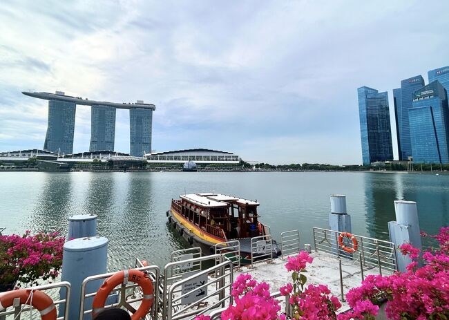 旅６日目、夢のようなクルージングに終わりを告げ、魅力的な「ガーデン・シティ」シンガポールへ上陸。<br />旅行最終日は、現地ガイドさんの説明付きでシンガポールの観光地を時間の許す限り観てまわる。<br /><br /><br />今回の旅は…（１名；￥501,655）<br /><br />【阪急交通社トラピックス】<br />福岡空港発着、未来都市シンガポールと素敵なアジアクルーズ７日間<br />〈ビジネスクラス利用プラン〉<br /><br />（2023年11月現在；（１シンガポールドル ＝ 約111円）<br />　　　