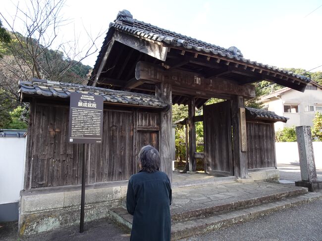 NHKの大河ドラマ「鎌倉殿の13人」が好きだった母。<br />小栗旬さんのファンであることもあるのでしょう。<br />伊豆の北条ゆかりの地を訪ねてみたいとの希望で、まずは蛭が島に伺いました。<br />その後は城池親水公園を散策したあと、願成就院から眞珠院 (八重姫のお寺)と巡り帰途に就きました。