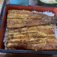 バースデー切符を使っていく四国四県の旅 ②四万十川で食べる鰻重と高知で日本酒の美味に感動