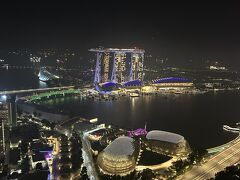 私の終活旅　１番の思い出の地　シンガポール　帰国日編