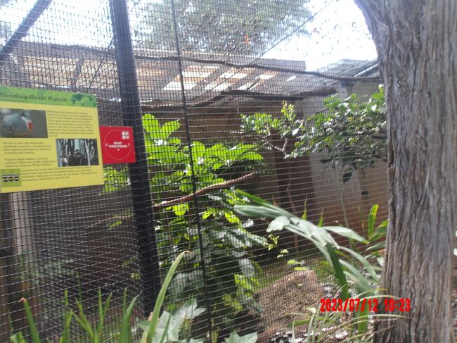 ハワイ諸島・オアフ島・ホノルル動物園 ２  　円安で金持ち専用リゾートに成ってしまった。