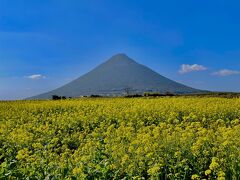 初の鹿児島上陸はマイルとポイントでお得に行くぞの旅！