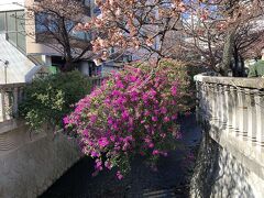 来宮神社から糸川へ