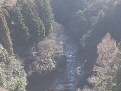 養老渓谷サイクリング