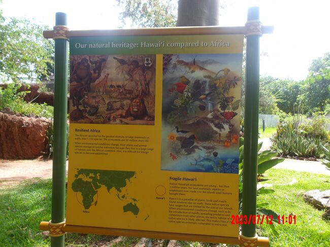 ハワイ諸島のオアフ島・ホノルル動物園5