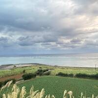 御翔印集めの旅☆「離島ホッピング初級編・修行じゃないよ꒰｡•◡•｡꒱」