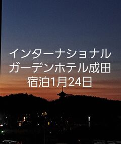 インターナショナルガーデンホテル成田宿泊1月24日