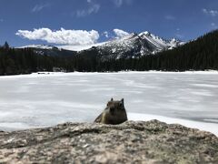 アメリカの旅行記