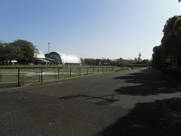 所沢記念公園は戦前の１９１１年開設の日本で最初の飛行場である所沢飛行場の跡地に整備された公園です。<br />「日本の航空発祥の地」として知られています。<br />大きな公園ですが、遊具などは意外に少なく、大人がスポーツしたり散歩するのに向いている公園だと思いました。<br />最寄り駅の一つ前の西武新宿線所沢駅から同じく新所沢駅まで２駅分のお散歩です。<br /><br />