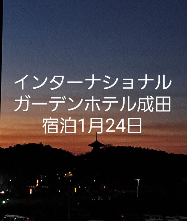 リピートしているインターナショナルガーデンホテル成田に、成田空港での仕事終了後、翌日のスケジュールに余裕があり、夕朝食付き１万円強のお得プランもあったことから、クーポン・ポイント等を使い更に約8千円にして私的宿泊をしました。