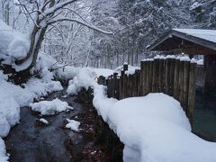 雪景色を観にみちのくへ