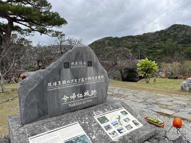 　久しぶりの旅行です。阪急交通社の阪神タイガース日本一記念のツアーを申し込み、レンタカーで世界遺産を見に行く計画をしました。<br /><br />21日(日)　セントレア発06:05　SKY551　那覇着08:30　⇒　バジェット・レンタカー　⇒　今帰仁(なきじん)城跡　⇒　備瀬のフクギ並木　⇒　道の駅許田　⇒　万座毛　⇒　サザンビーチホテル＆リゾート　<br /><br />22日(月)　 サザンビーチホテル＆リゾート　⇒　斎場御嶽(せーふぁうたき)　⇒　ニライ橋・カナイ橋　⇒　中城(なかぐすく)城跡　⇒　勝連(かつれん)城跡　⇒　海中道路　⇒　果報(かふー)バンダ　⇒　座喜味(ざきみ)城跡　⇒　サザンビーチホテル＆リゾート<br /><br />23日(火)　 サザンビーチホテル＆リゾート　⇒　ひめゆりの塔　⇒　平和祈念資料館　⇒　おきなわワールド　⇒　サザンビーチホテル＆リゾート　⇒　国際通り　⇒　サザンビーチホテル＆リゾート<br /><br />24日(水)　 サザンビーチホテル＆リゾート　⇒　ウミカジテラス　⇒　アメリカンビレッジ　⇒　首里城跡　園比屋御嶽(そのひゃんうたき)石門　⇒　識名園(臨時休園)　⇒　バジェット・レンタカー　⇒　那覇発19:10　SKY554　セントレア着21:05<br />　<br />