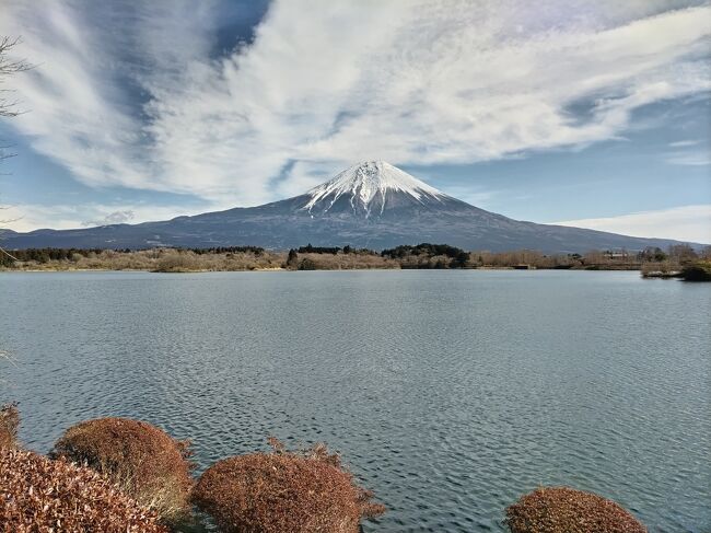 朝テレビを見ていたら富士山が、すごーくキレイでないの～。<br />急遽、富士山を見にドライブしましょう。<br />こんなに綺麗な日はやはり田貫湖よね、逆さ富士、それから富士宮浅間大社によりましょう。