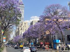 メキシコシティ2泊5日弾丸父娘旅