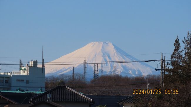 1月25日、午前9時半過ぎにふじみ野市より真っ白な美しい富士山が見られました。　1月24日からの大雪で真っ白でした。<br /><br /><br /><br /><br />*真っ白な富士山