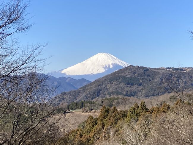 ご覧いただきまして、ありがとうございます。<br /><br />最後に日帰り温泉に行くのがお目当てとも言えますが、そのために2時間半のハイキング。<br /><br />渋沢駅から八国見山、高尾山を訪れます。