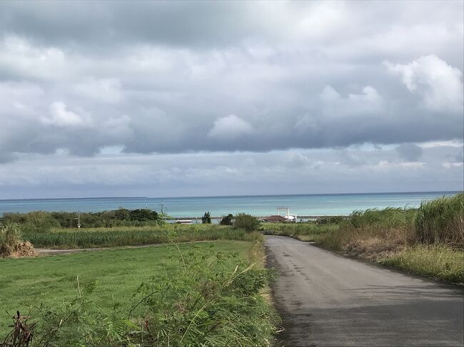 八重山諸島が気に入ったので今回はちゅらさんの舞台になった島、小浜島へ行って来ました。<br />せっかくの離島ですが天気は最悪。<br />でもリゾートホテル滞在だったので部屋でユーチューブやネットを見てそれなりに楽しむことができました。<br />「はいむるぶし」大好きになりました。またいつか必ず行きます。